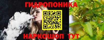 скорость Новодвинск
